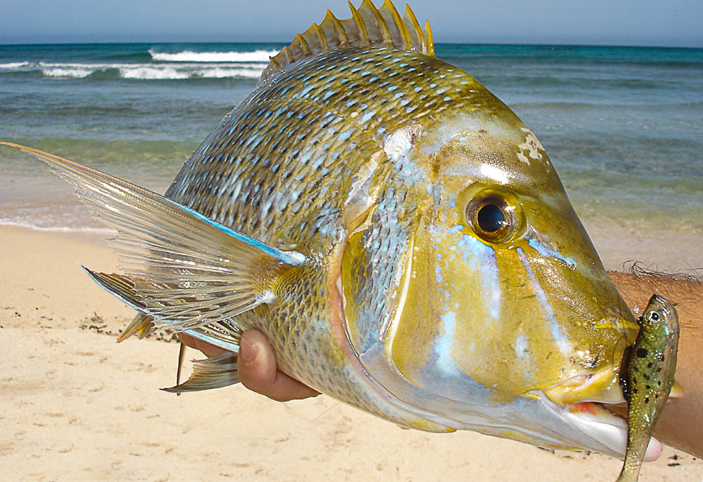 Fishing in Exmouth